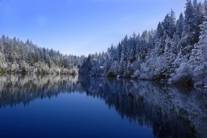 2026年世界雪地摩托拉力赛 北极圈赛段遭遇极夜风暴仍坚守完赛，雪地摩托历史