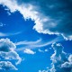 2026年世界雪上技巧赛总决赛 中国自由式滑雪空中技巧再夺总冠军，2021年自由式滑雪及单板滑雪世锦赛