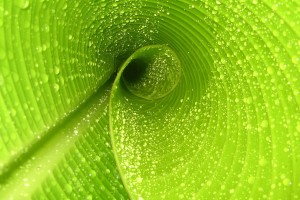 世界举重康复设备采购指南更新：性价比与安全并重，世界举重记录视频