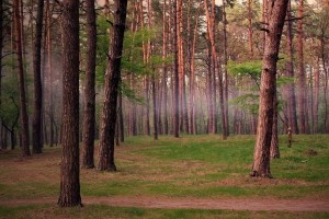 世界举重康复名师驻点服务第40站成果回放上线，世界举重选手