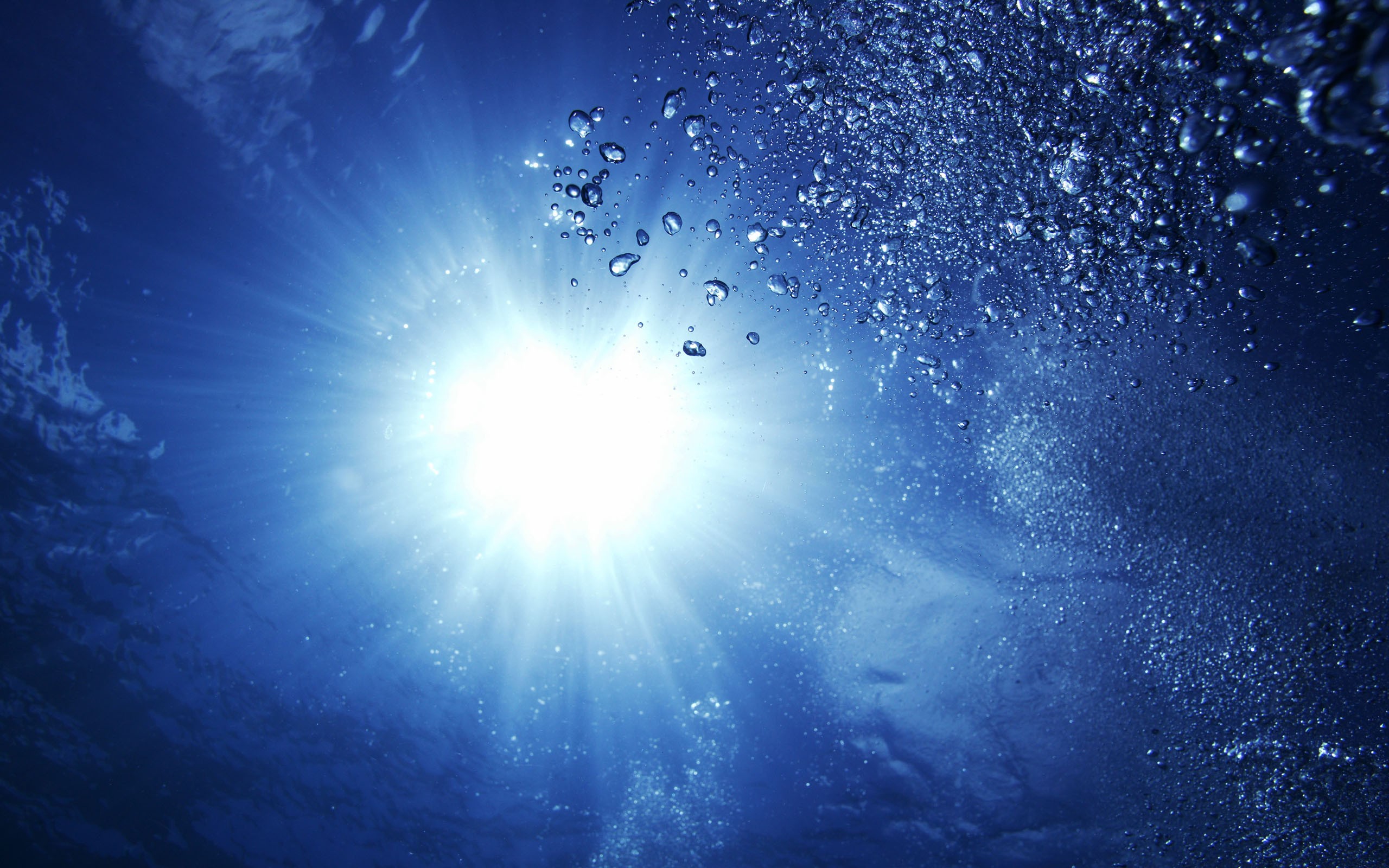2026年世界雪车钢架雪车锦标赛测试赛稳定运行，2020钢架雪车哪个奥运会